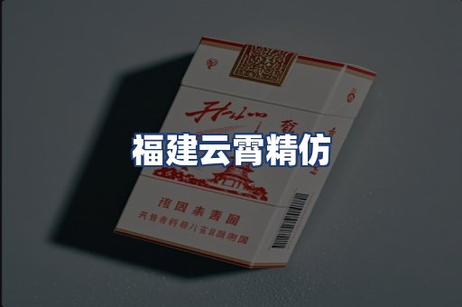 福建云霄精仿